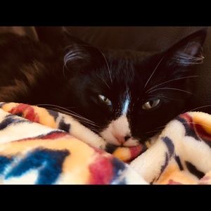 Meet your Posher, Jackie